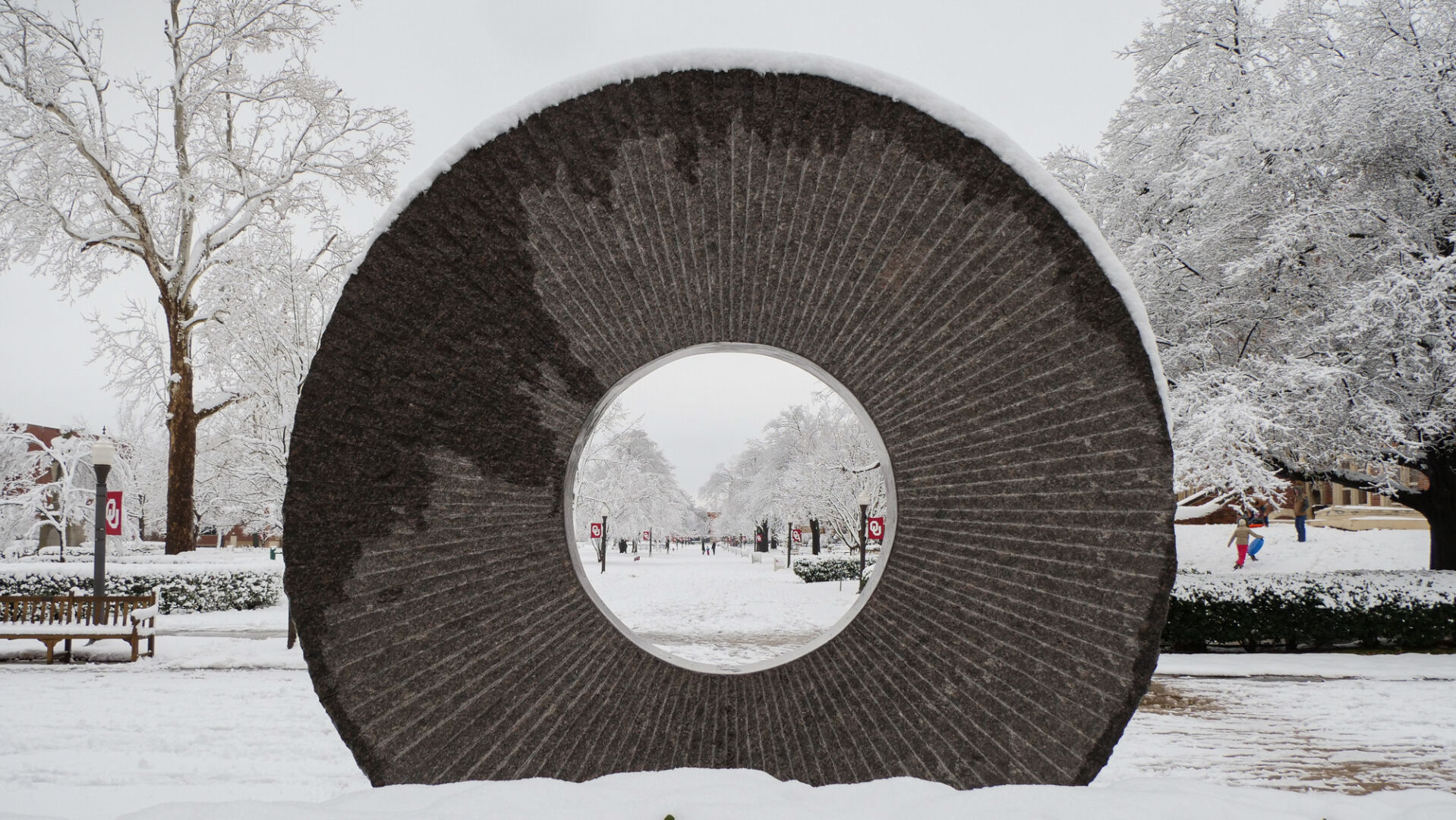 Families in the Snow